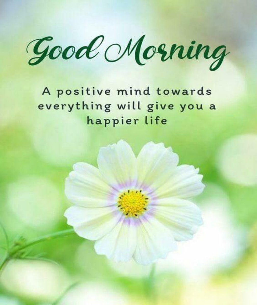 gmannn59's tweet photo. https://t.co/DnVfDXgHs6