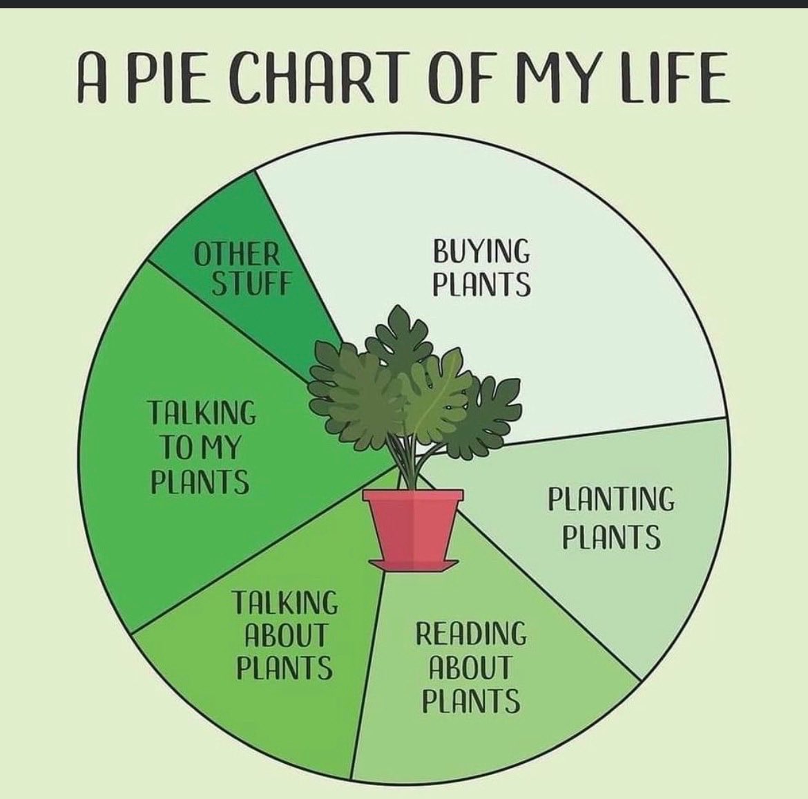 Happy #Monday #planttwitter! May your week be filled with all things plants! ✅🪴💚😃 #plants #houseplants #plantlover #houseplantlove #plantlife