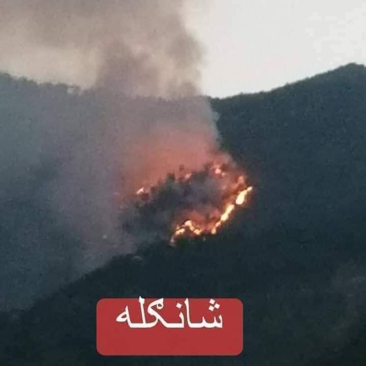 ☆🦋 سید محمد شاہ برکی☆🦋 tweet media