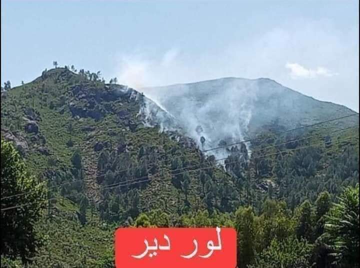 ☆🦋 سید محمد شاہ برکی☆🦋 tweet media