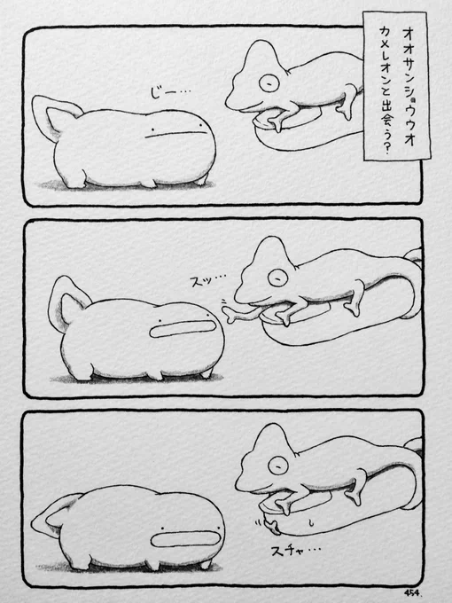 オオサンショウウオ、カメレオンまとめ。 