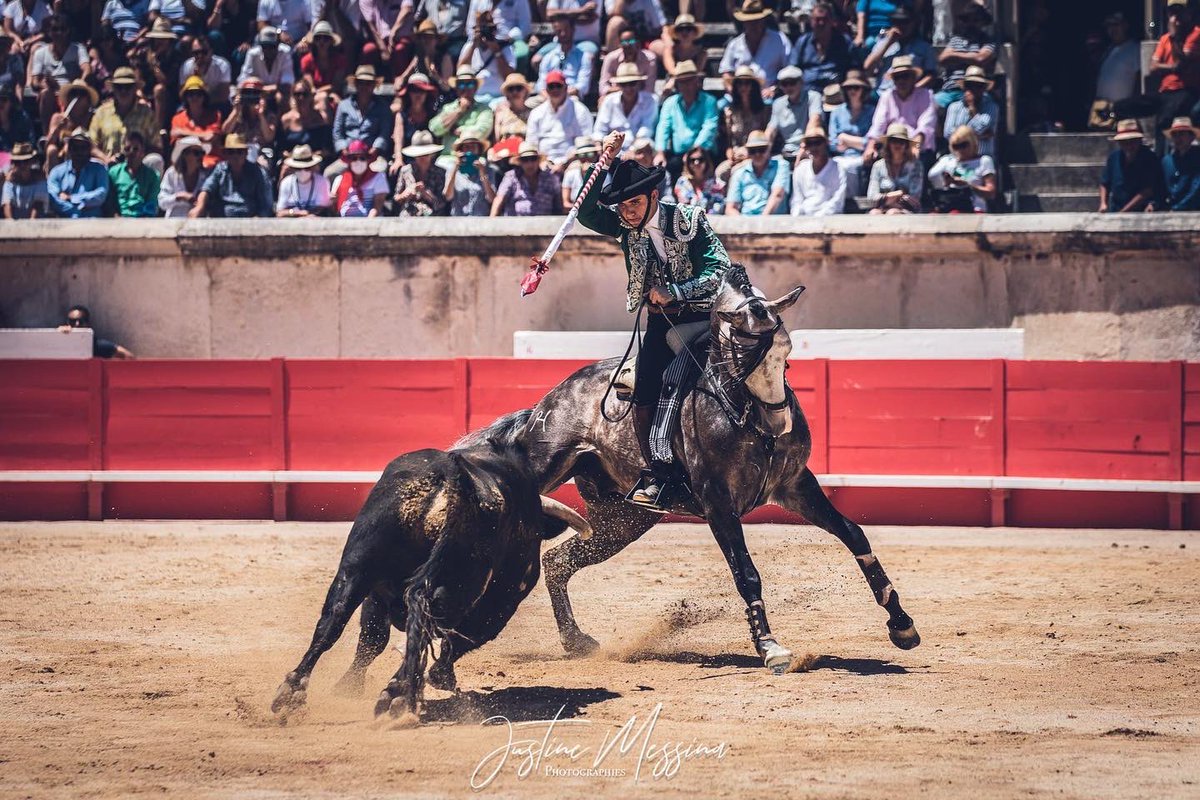 #Nîmes 🇫🇷 6️⃣ | Se cierra la tarde con Dos orejas para @guillerhermoso. Vuelta al ruedo en arrastre al toro de Fermín Bohórquez.

📸 <a href="/Justine_Messina/">Justine Messina</a>