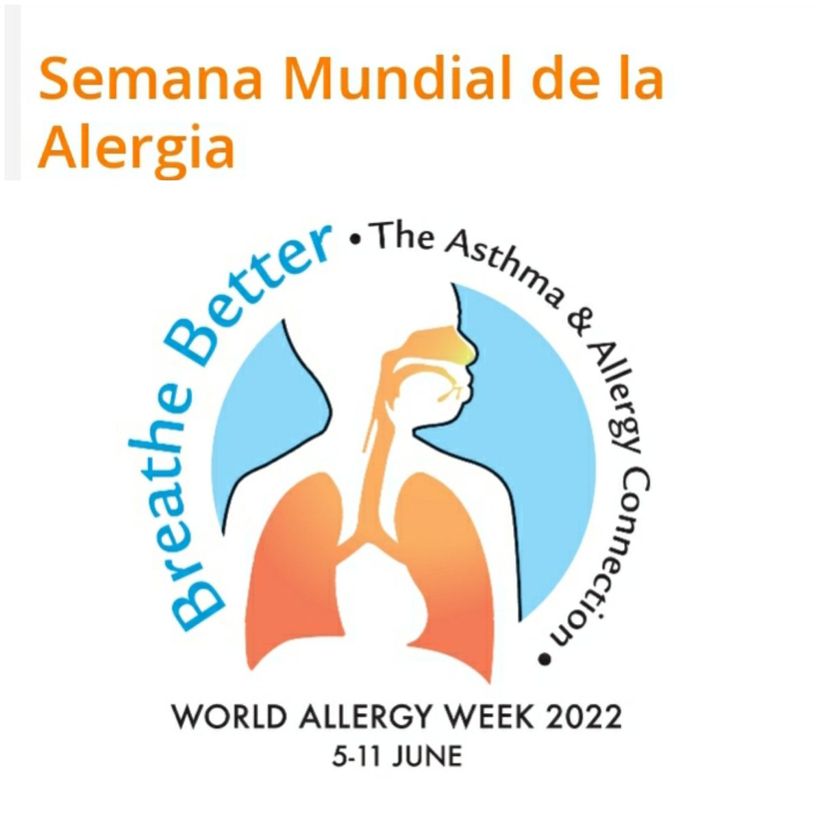 Alcarria70's tweet image. @alerguada @SeparRespira @o_mediano @PP_CLM
@ppguadalajara 
Desde la vicesecretaria de sanidad y acción social de @ppguadalajara el apoyo a asociaciones y profesionales sanitarios que trabajan contra esta patología. 
+Informacion+prevencion+recursos
💪💪 #SemanaMundialdelaAlergia