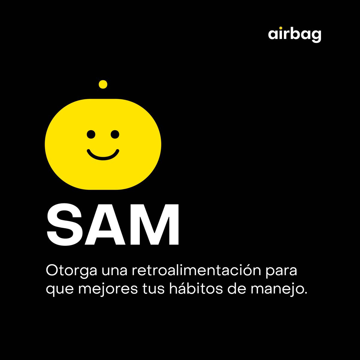 Airbag Technologies tweet media