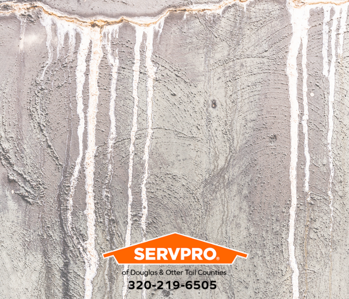 Our Douglas and Otter Tail Counties team typically arrive within four hours of your call for help when you have a water damage emergency. #SERVPRO #SERVPROofDouglasandOtterTailCounties #SERVPRODouglasOtterTailCounties #DOTC #PropertyDamage #WaterDamage