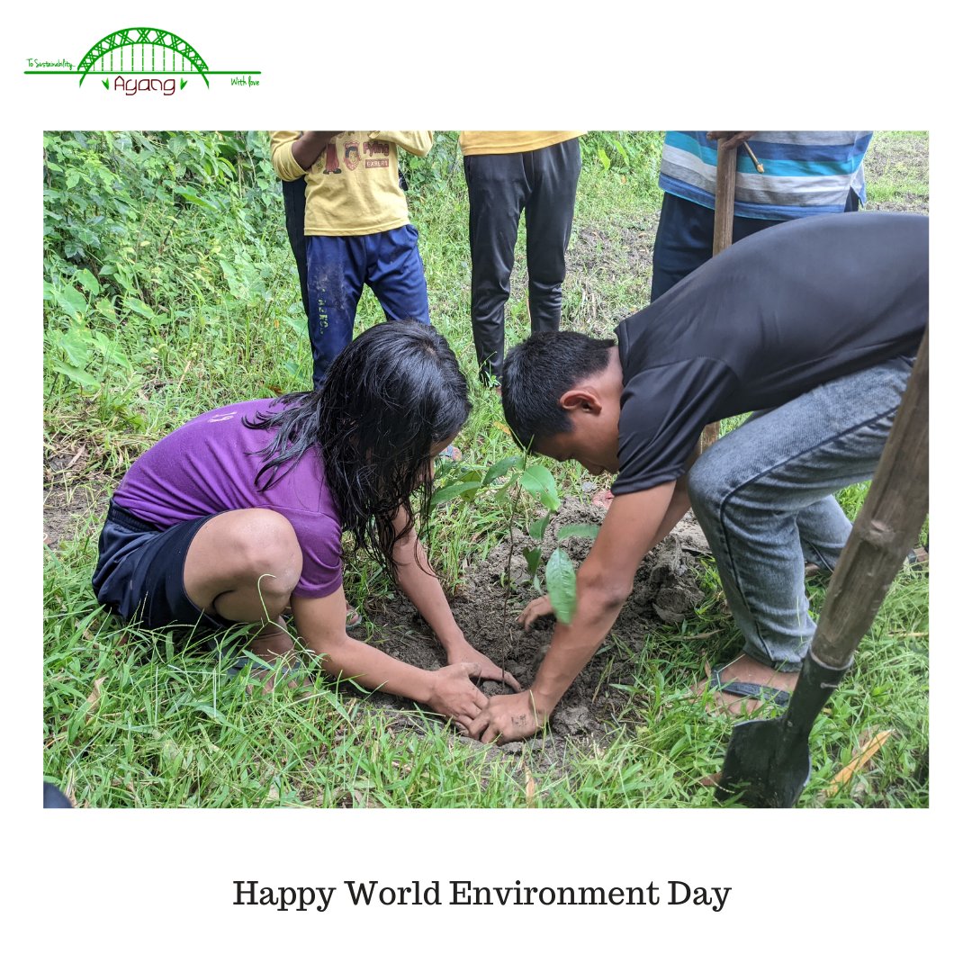 AyangTrust's tweet photo. #Tree plantations to celebrate #WorldEnvironmentDay in the hummingbird school! 

#WorldEnvironmentDay2022 #Ecology #EnvironmentDay #school #education https://t.co/EKZImPjFpY