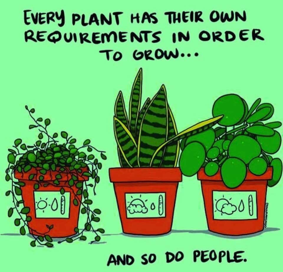 TCEA's tweet photo. Keep this in mind all week! 

📸Unknown #edchat #mondaymorning https://t.co/iVEp2RbkZR