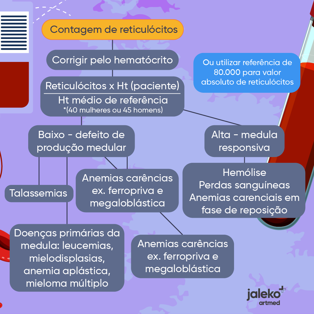 JalekoAcad's tweet photo. Hemograma é um daqueles exames que tem muita informação, mas que sabendo analisar faz uma super diferença e te coloca pertinho do diagnóstico! 💪

A gente fez um post aqui para discutir a série vermelha. 😃

Desafio para você: qual o tipo mais comum de anemia? E qual a causa? 🤔 https://t.co/32QyRZrHjl