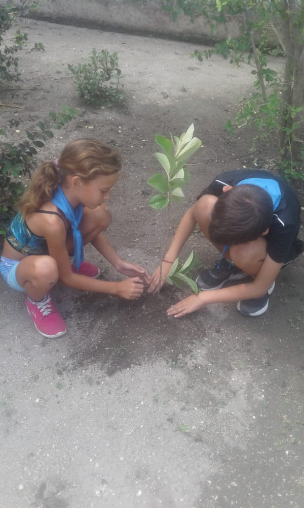 BoschTroadio's tweet photo. Actividades realizadas en saludo al día del Medio Ambiente
#EducaJM
#SomosCuba 
#SomosContinuidad https://t.co/3AyE2zUisb