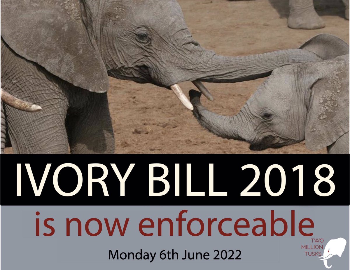 Two Million Tusks tweet media