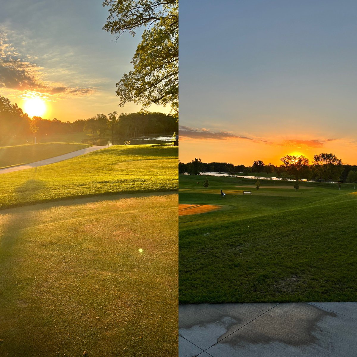 🎶Just another manic Monday🎶 and good morning! #