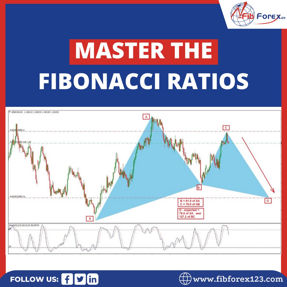 Fibforex123 tweet media