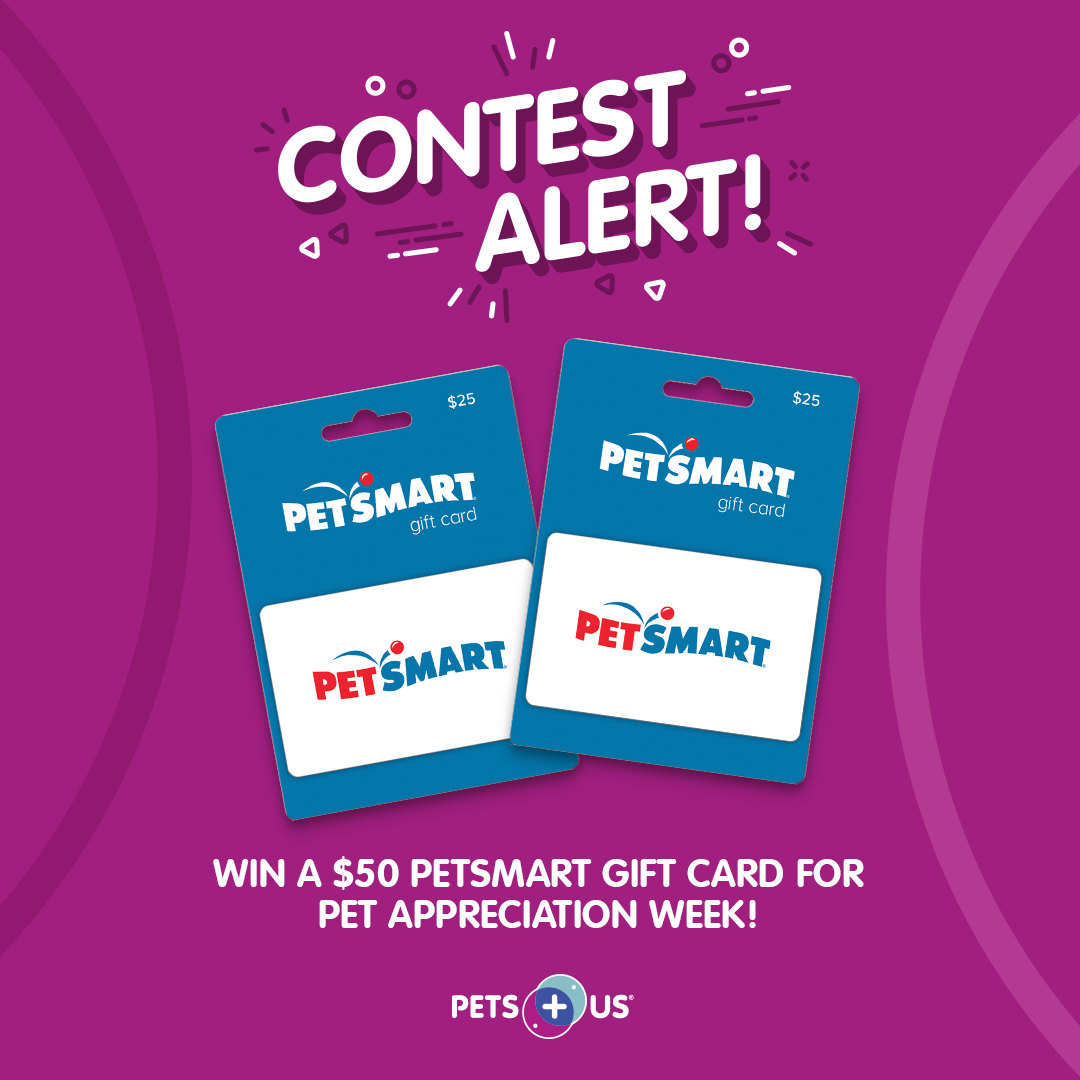 Pets Plus Us on Twitter "It's PetAppreciationWeek! 🐾💖 What do you do