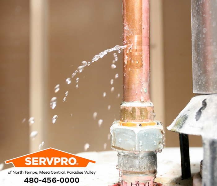 Our local teams in North Tempe, Mesa Central, and Paradise Valley often find mold problems when they locate water damage. #SERVPRO #SERVPROofNorthTempe #SERVPROofNorthTempeandSERVPROofMesaEast #Tempe #Mesa #AZ