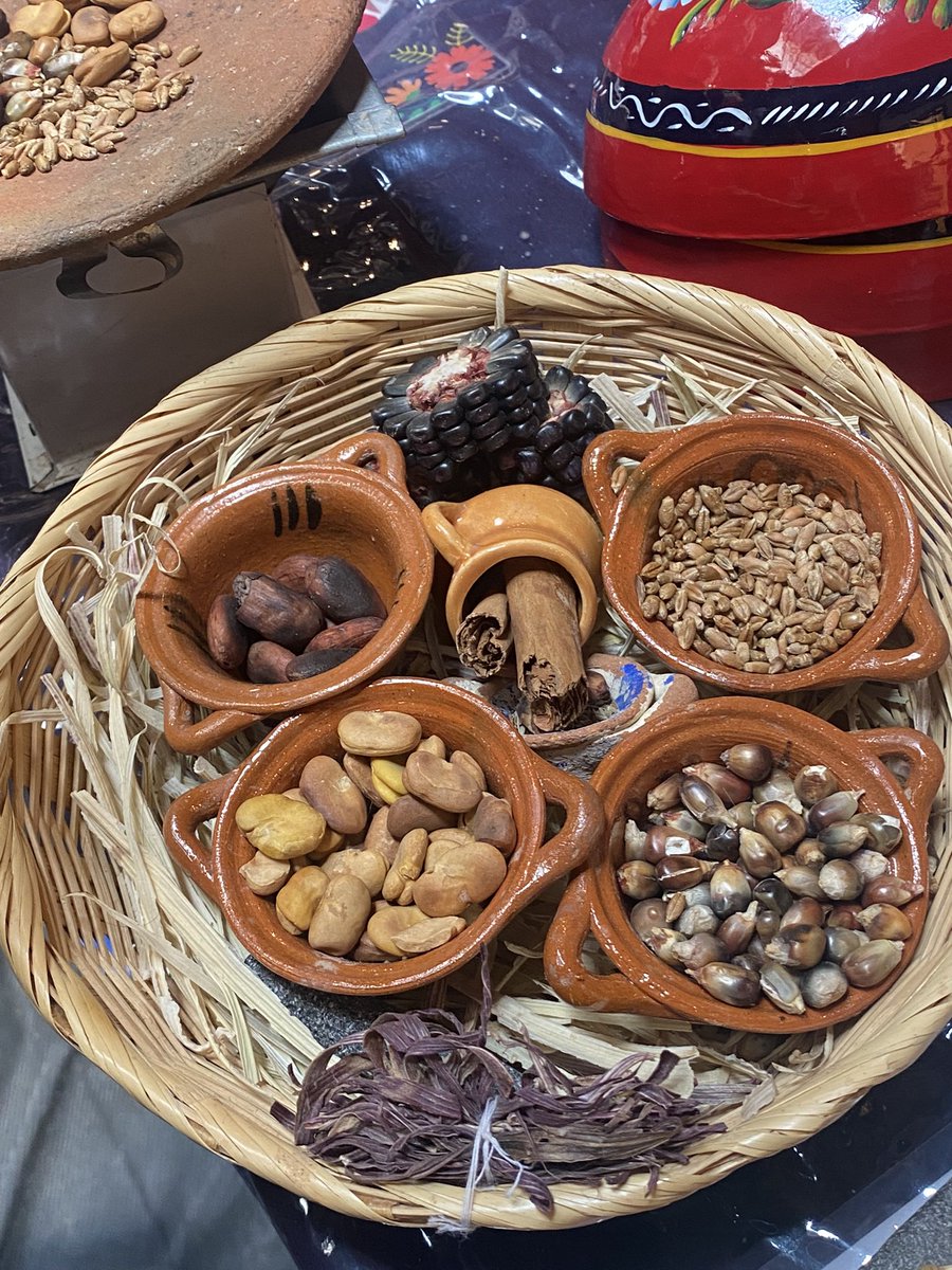 Vita Gleason tweet media