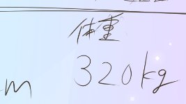 見かけに対して少ない気がしたから 