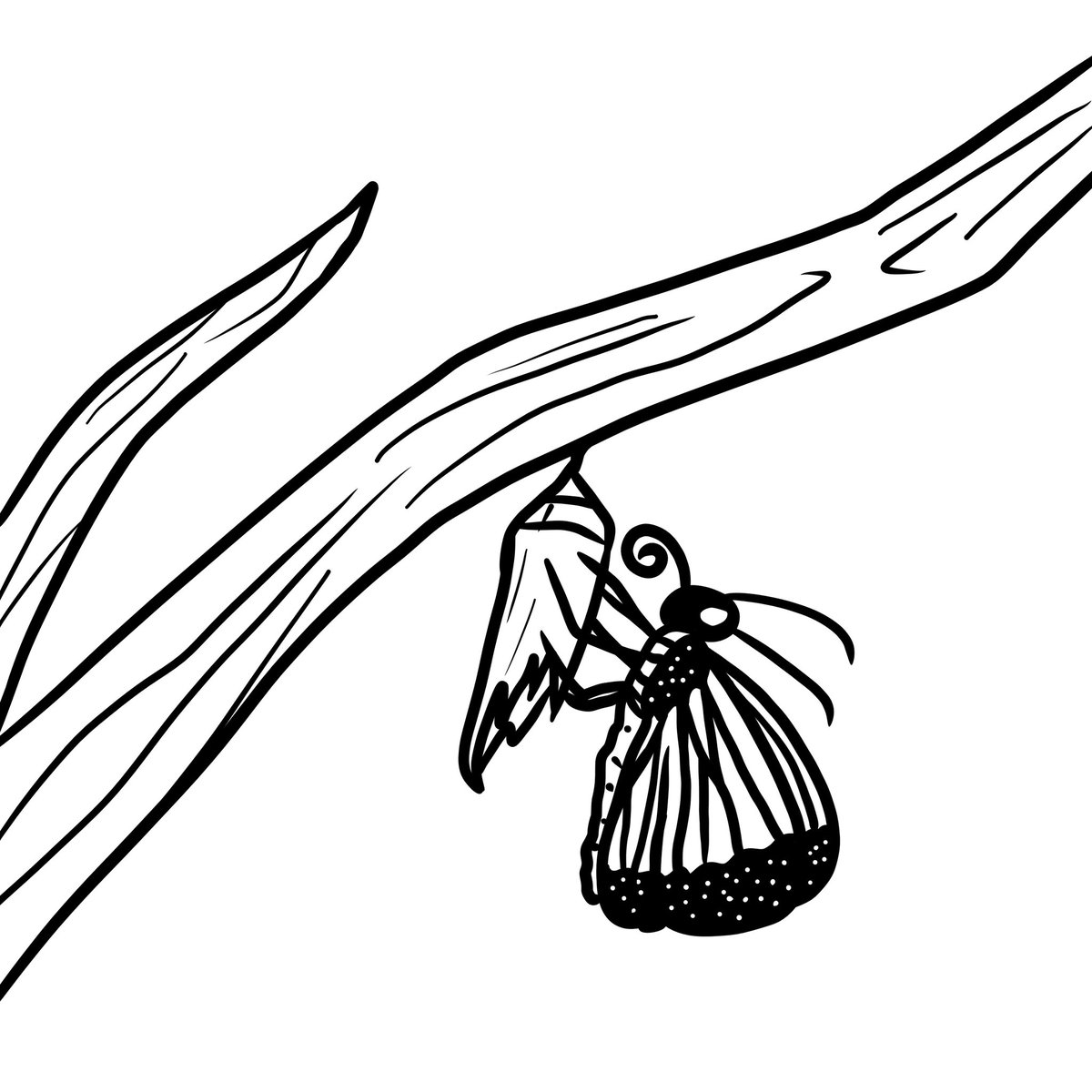 StudioTsunami's tweet photo. You don't just wake up and become the butterfly. Growth is a process. - Rupi Kaur

📞Contact us for services in illustration! 

#thetsunamistudio #butterfly https://t.co/48cDcYwKiV