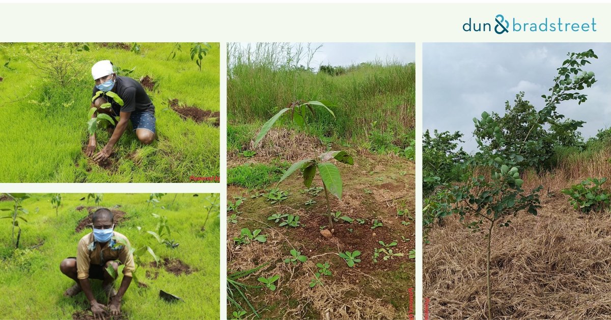 DNB_India's tweet photo. Dun &amp; Bradstreet took a step to create a greener tomorrow on World Environment Day.

#GrowWithDNB #SaveThePlanet #GoGreen #WorldEnivronmentDay2022 #ForPlanetForPeople #ClimateAction https://t.co/Sw6sK9YMUw