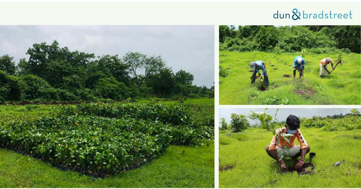 DNB_India's tweet photo. Dun &amp; Bradstreet took a step to create a greener tomorrow on World Environment Day.

#GrowWithDNB #SaveThePlanet #GoGreen #WorldEnivronmentDay2022 #ForPlanetForPeople #ClimateAction https://t.co/Sw6sK9YMUw