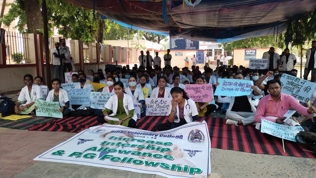 GovindP65958823's tweet photo. #IncreaseInternshipAllowance 
#BVC_On_Strike
#IncreasePgFellowship
@Nitishkumar
@saravanakr_n
@tarkishorepd
@ZeeBiharNews
@presidentVCI
@nitishkrishna8
@AnimalBihar
@PRupala
@drsanjeevbalyan
@min_fahd
@CMOBihar1
@htTweets
@JagranNews
@News18Bihar
@KashishBihar https://t.co/teDqwZfcM7