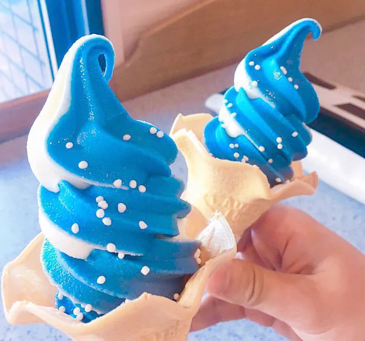 まるでジンベエザメのよう！海遊館で販売されている「ジンベエソフト」が可愛い。