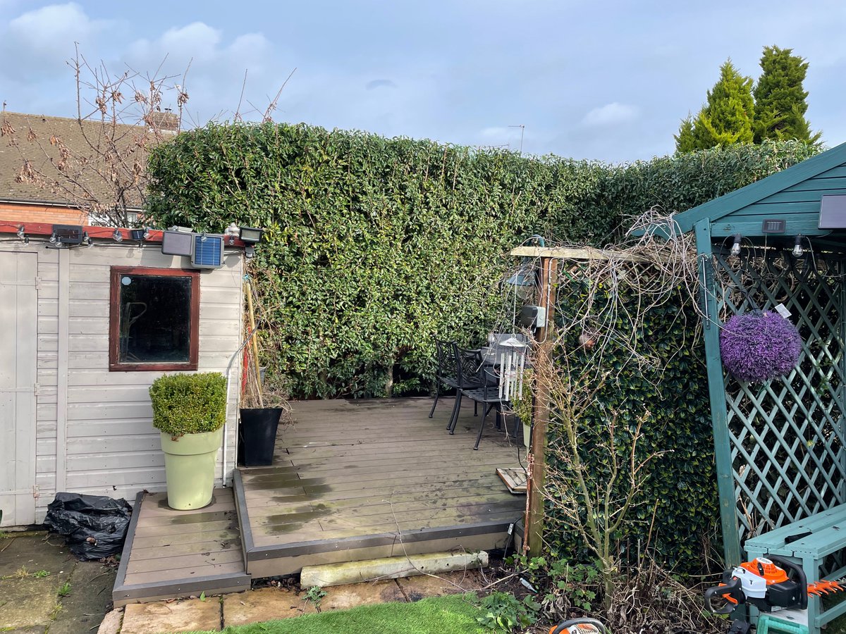 A nice bit of work by our trainee a couple of weeks back, including this pole-reduction on a Silver Birch.
See more at arb-aid.co.uk
#treesurgeon #arborist #landscape #Coventry