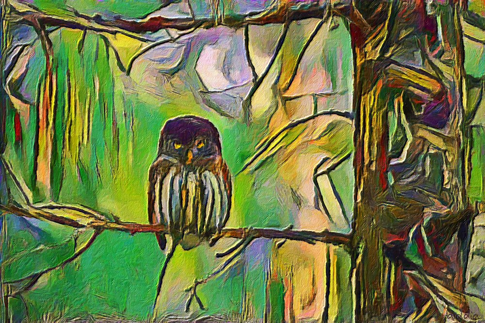 aiddia made art (with help from @erik_karits on <a href="/pexels/">Pexels</a>)!
#nft #nftart #nftartist #nftdrop #nftcommunity
opensea.io/assets/ethereu… via <a href="/opensea/">OpenSea</a>