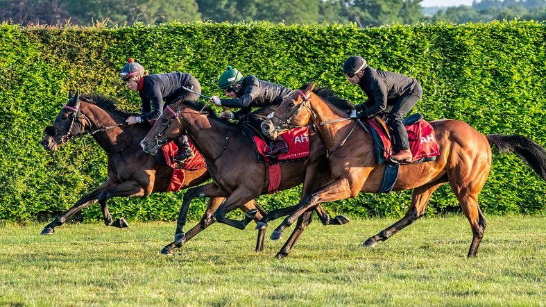 ahaynesracing's tweet photo. The Golden Mile ππΌ
πΈ @EquuisImages
#AHaynesRacing #Colourpin #GoldenMile @Colourpin1 https://t.co/BJZ8W6z6L5