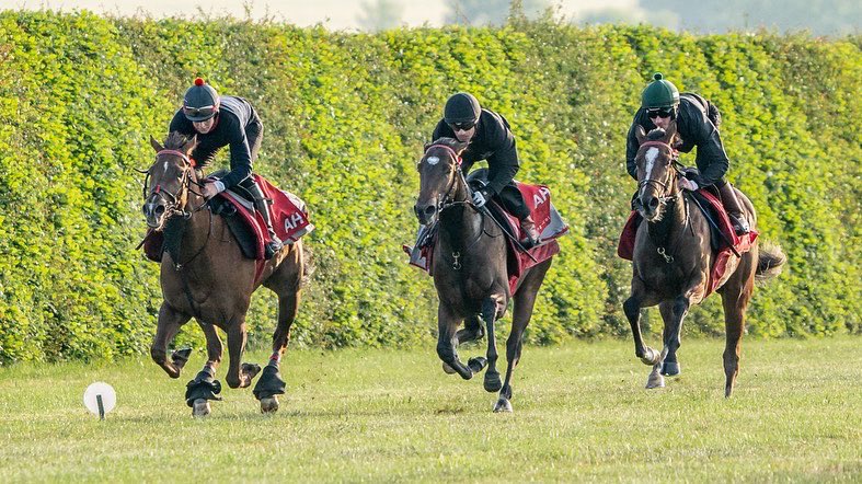 ahaynesracing's tweet photo. The Golden Mile ππΌ
πΈ @EquuisImages
#AHaynesRacing #Colourpin #GoldenMile @Colourpin1 https://t.co/BJZ8W6z6L5