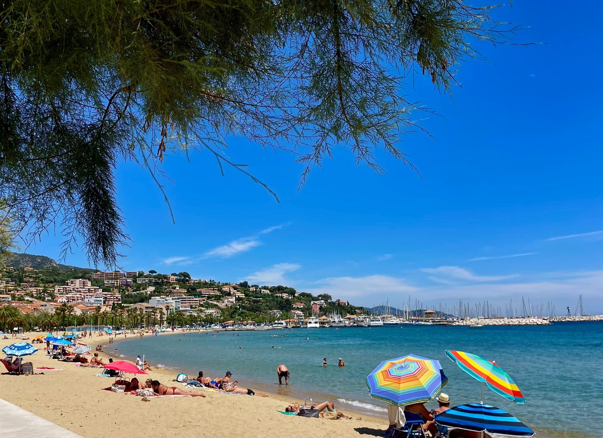 OTLAVANDOU's tweet photo. Un lundi à la plage 😎☀️🌴
#MyLavandou https://t.co/Qo9zDWvlpz