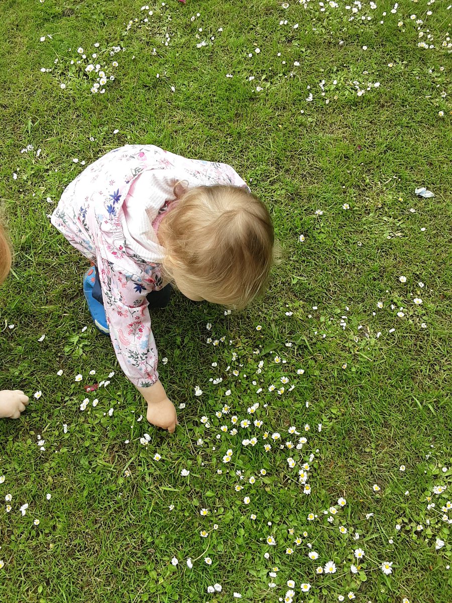 fledglings40's tweet photo. Today we loved picking daisies and threading them to make a sheep :)
#ashbride #pickingdaisies #threading #outdoors https://t.co/Y8XuGUGq5y