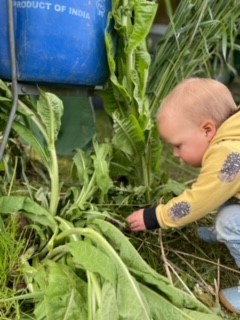 Interesting day at Bywell Show on June 3rd, all going well until 4.00 pm then the Gazebo blew away so an early finish for the Educational Trust. Still won a prize in the 'best display in show' category so well done Becky and Albert. Young naturalist at work