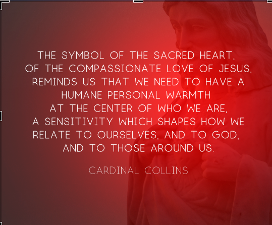 SMCDSB_MRO's tweet photo. Continue to celebrate the month devoted to the Sacred Heart of Jesus. Allow the mercy of Jesus to sweep over us &amp; over our hard-hearted world. “I desire mercy, not sacrifice. For I have not come to call the righteous, but sinners.” Matthew 9:13 #junedevotion #smcdsbprays https://t.co/ySzMPjJsvT