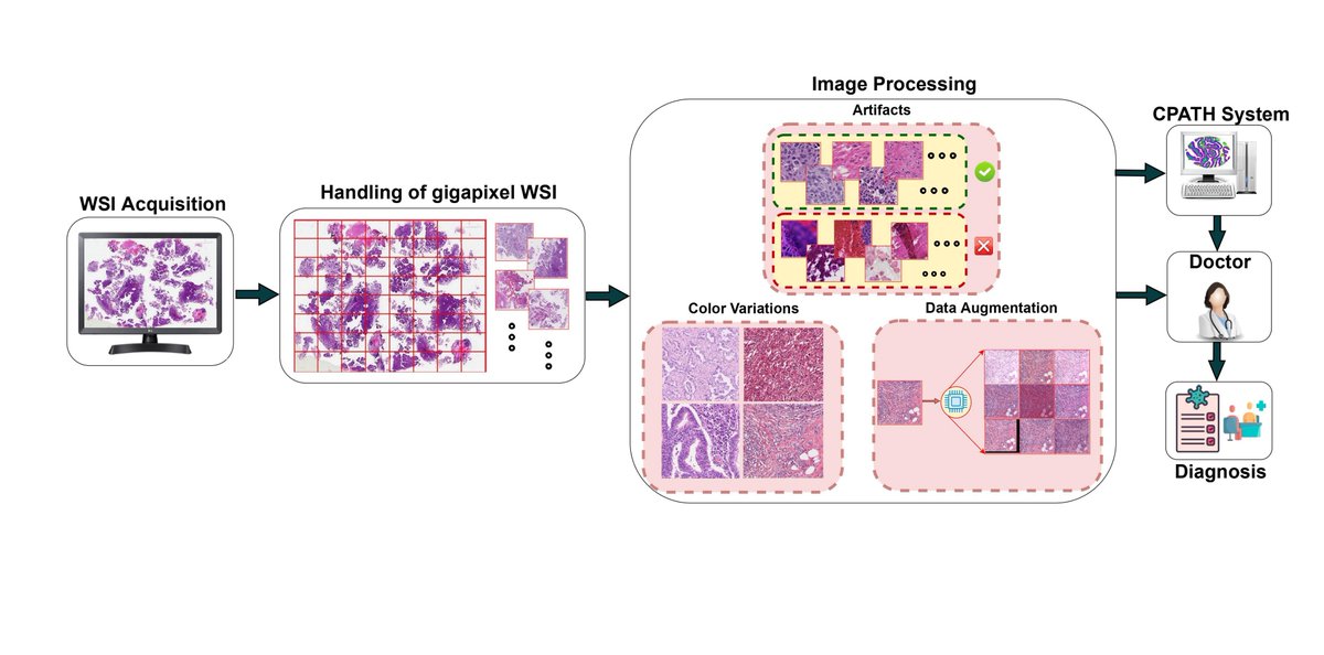 BMDLabUiS's tweet photo. Our BMDLab member Neel Kanwal`s paper “The devil is in the Details: Whole Slide Image Acquisition and Processing for Artifacts Detection, Color Variation, and Data Augmentation: A review” has been published in IEEE Access.
Link to the article: https://t.co/co8bzaiX94 https://t.co/pneJaaRbO6