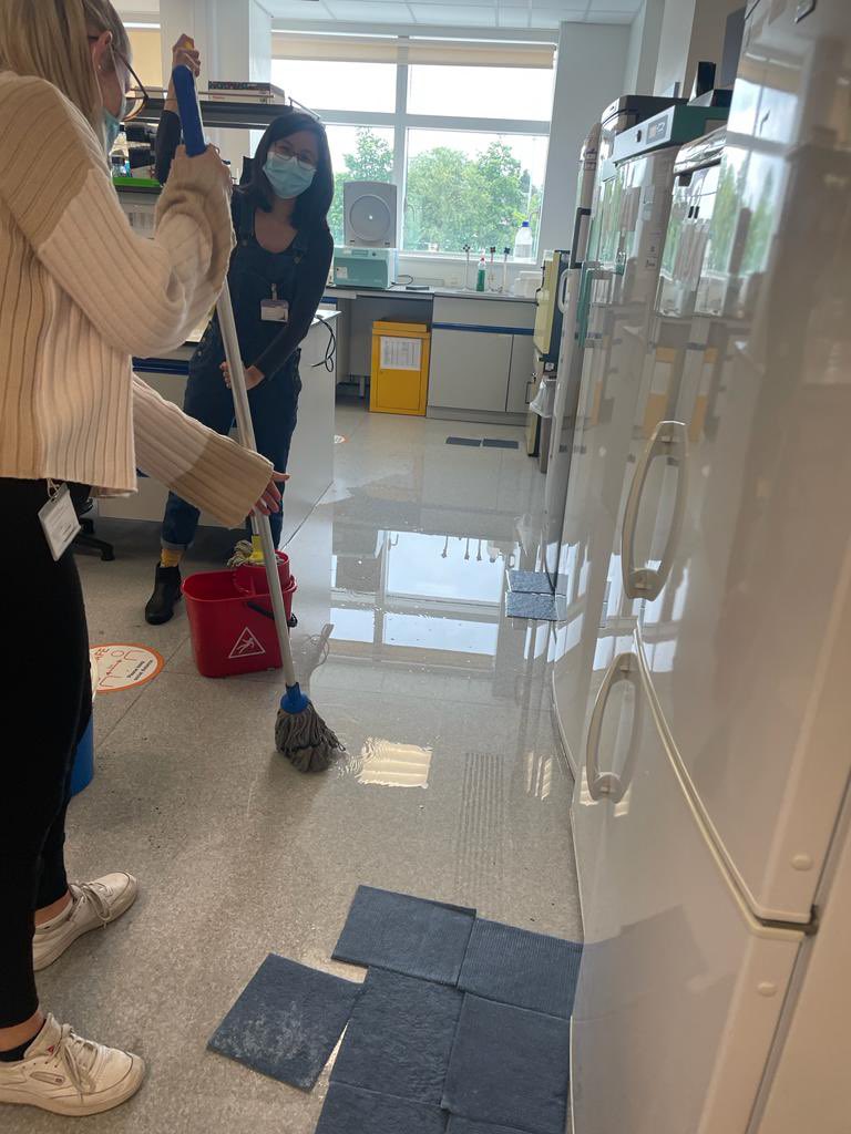 Celine Chen tweet media