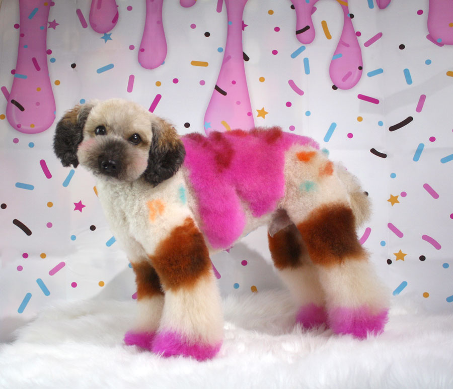 GammaRayCat's tweet photo. Did I really not show off this Ice cream themed poodle I did? Well here ya go! https://t.co/ko77dmJNrB