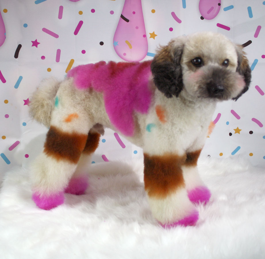 GammaRayCat's tweet photo. Did I really not show off this Ice cream themed poodle I did? Well here ya go! https://t.co/ko77dmJNrB