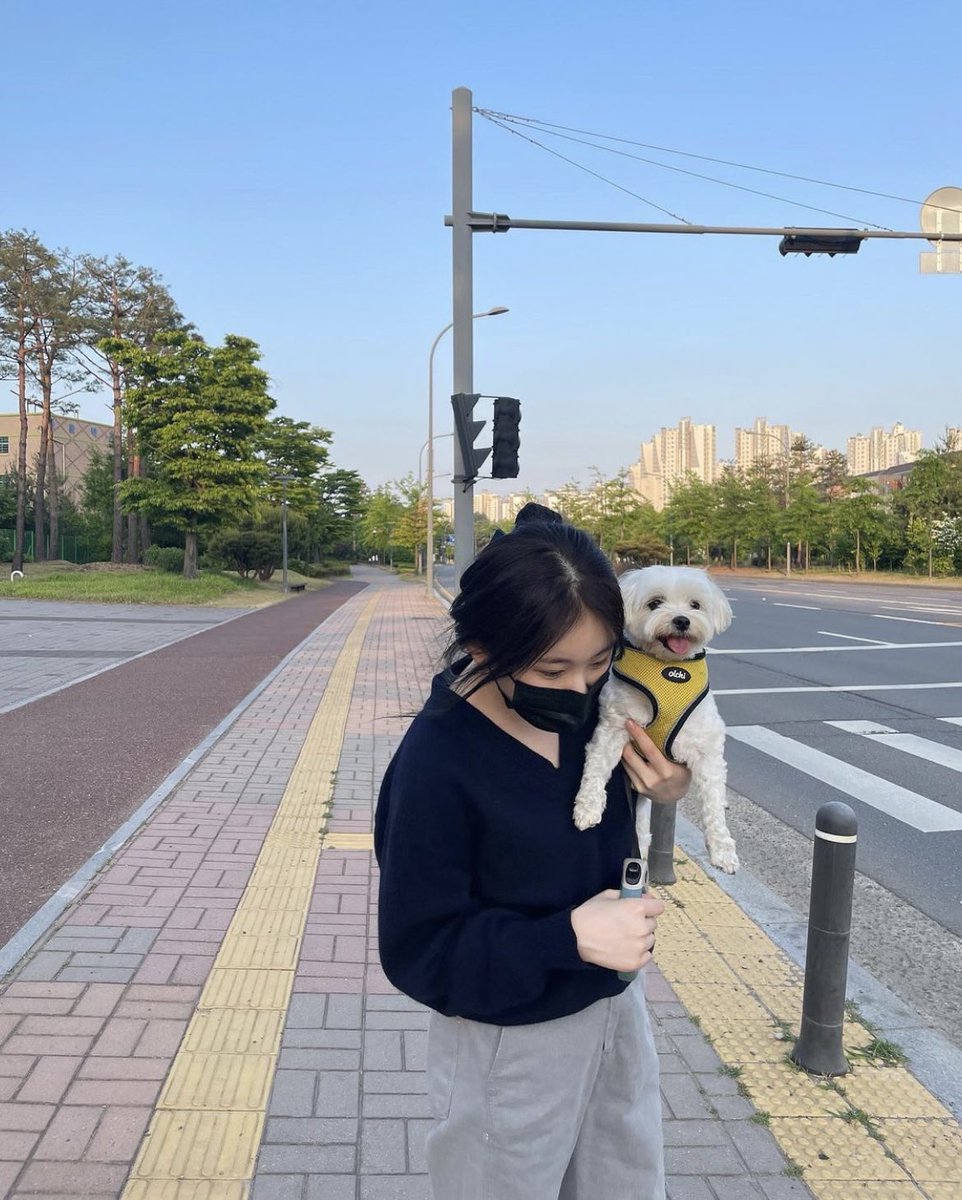 WeGotLoves's tweet photo. WGL SESSION : OPEN 🎀

yuk buat para cowo-cowo single yang mau cari pasangan, malam ini admin Chaeyeon buka 10 slot ya seperti biasa. also RETWEET are apreciated! jangan lupa diperhatikan rulesnya ya di ( https://t.co/2R7a48kH7a ) https://t.co/62XRf2ZoXb