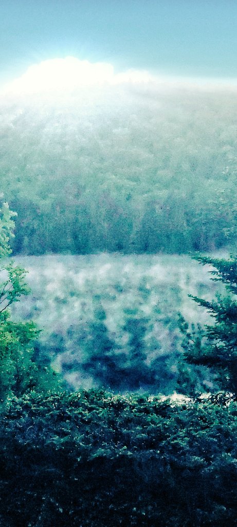 Tweets With Replies By Maillard Lemaillardpoete Twitter