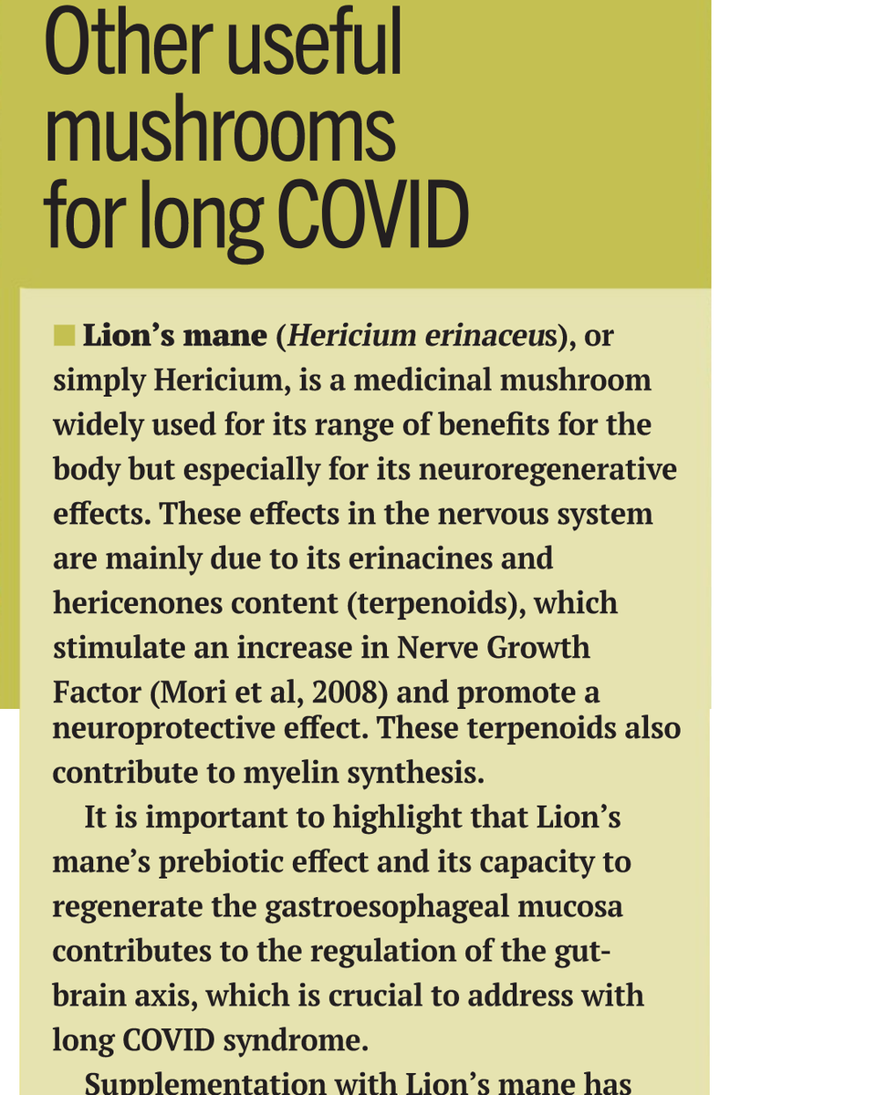 IHCANmagazine's tweet photo. Other useful mushrooms for long COVID...
Read the full article in our June issue. Subscribe 👉 https://t.co/OBoFyVitsx
#integrativehealth #IHCAN #nutritionaltherapy #mushrooms #mycotherapy https://t.co/pOX0d3fUFT
