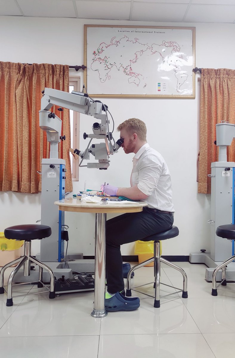 Luke Geoghegan tweet media