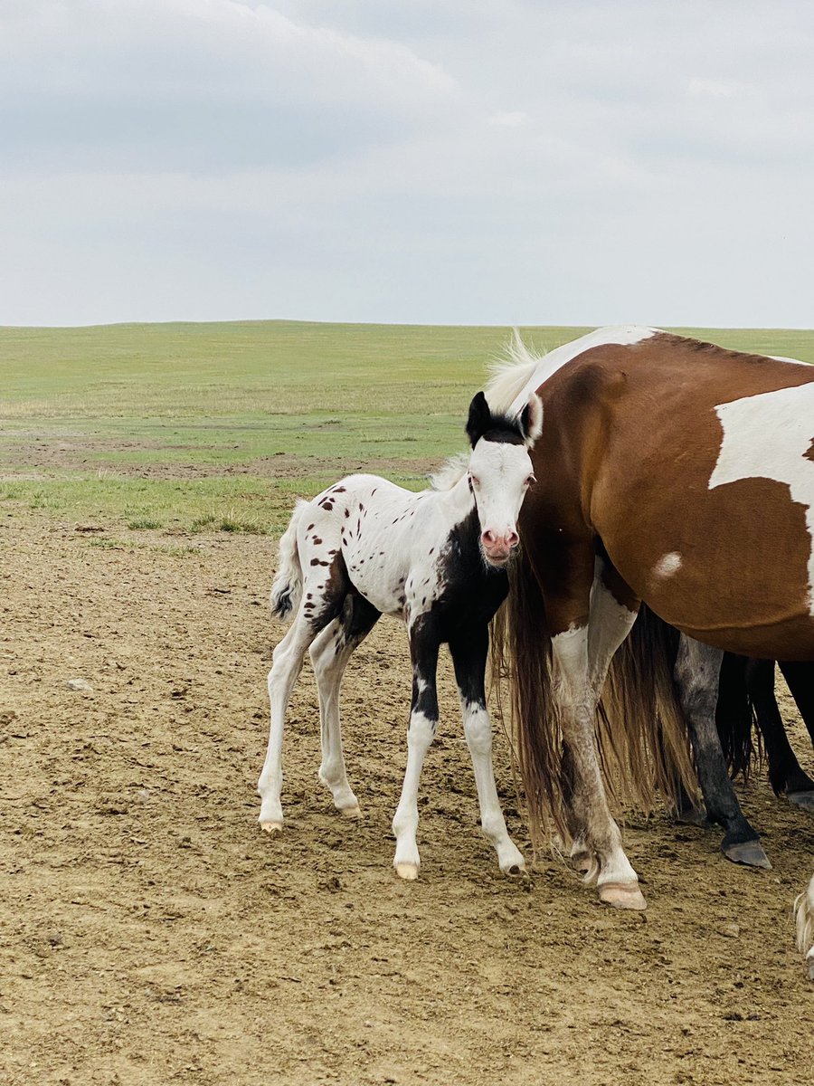 Бас нэг царай муут 😂😂😂😂