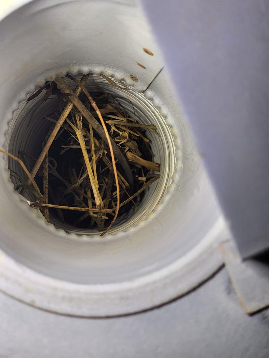 ONFireMarshal's tweet image. Chilly nights call for a fireplace.  Please make sure your appliances are inspected and cleaned every year.  Bird watching is awesome, but birds making a home in your chimney - not such a great mix.