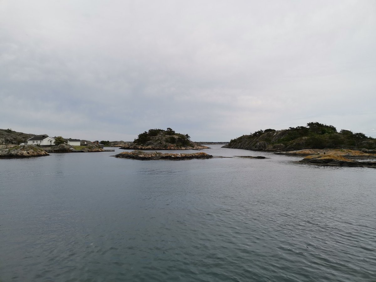 W3N_LYCO5's tweet photo. #thetravelwolf is hiking on the island Styrsö ... So idyllic here 😍 so much green!
(... Seen off the remains of that big seal cadaver I just spotted on the beach, which I decided to not share a picture of. (but I took one, of course 😂))
#offcrypto #Saitamatravellog #styrsö https://t.co/o6Laxpm1hf