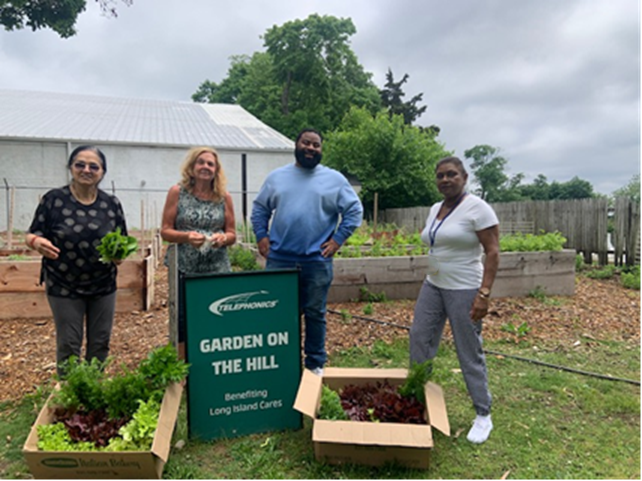 Our first harvest and donation to <a href="/LongIslandCares/">Long Island Cares</a>  took place on Friday. Volunteers harvested over 15 pounds of lettuce, cilantro and spinach. Red beans and cucumbers were recently planted. Thank you to all our hard working volunteers.