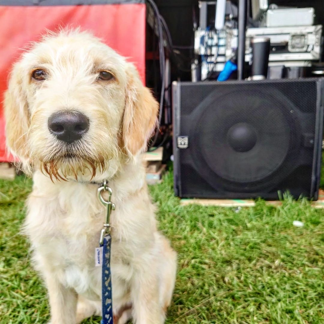 MartinAudioLtd's tweet image. We couldn't resist this post from @CTS_Productions for this week's #RigsAtGigs top spot. Sub + woofer = Subwoofer. Share your photos of your #RigsAtGigs for your change to win official Martin Audio merchandise! View the full range here: store.martin-audio.com