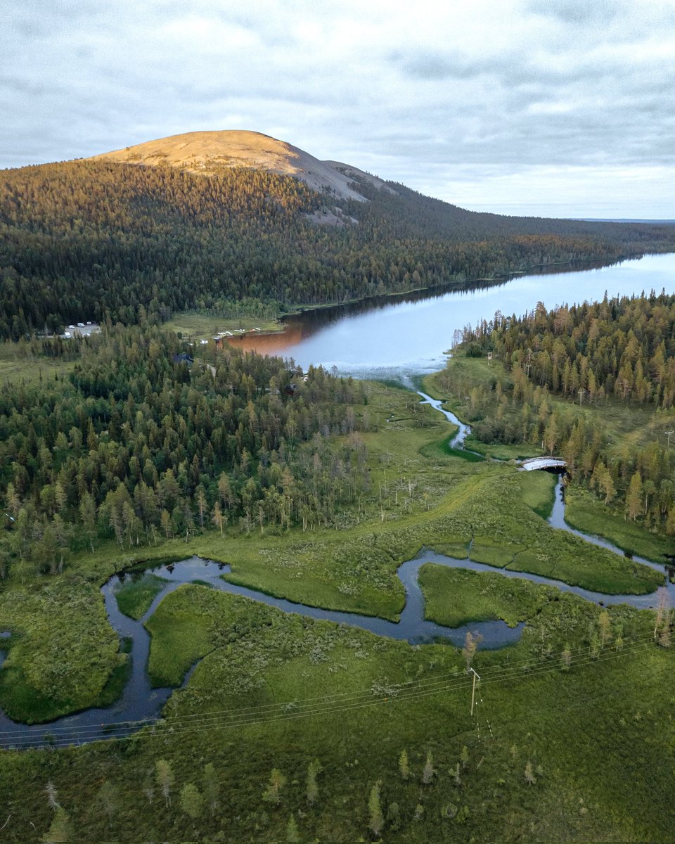 The most beautiful views are sometimes right above your head. #lapland #finland #travel