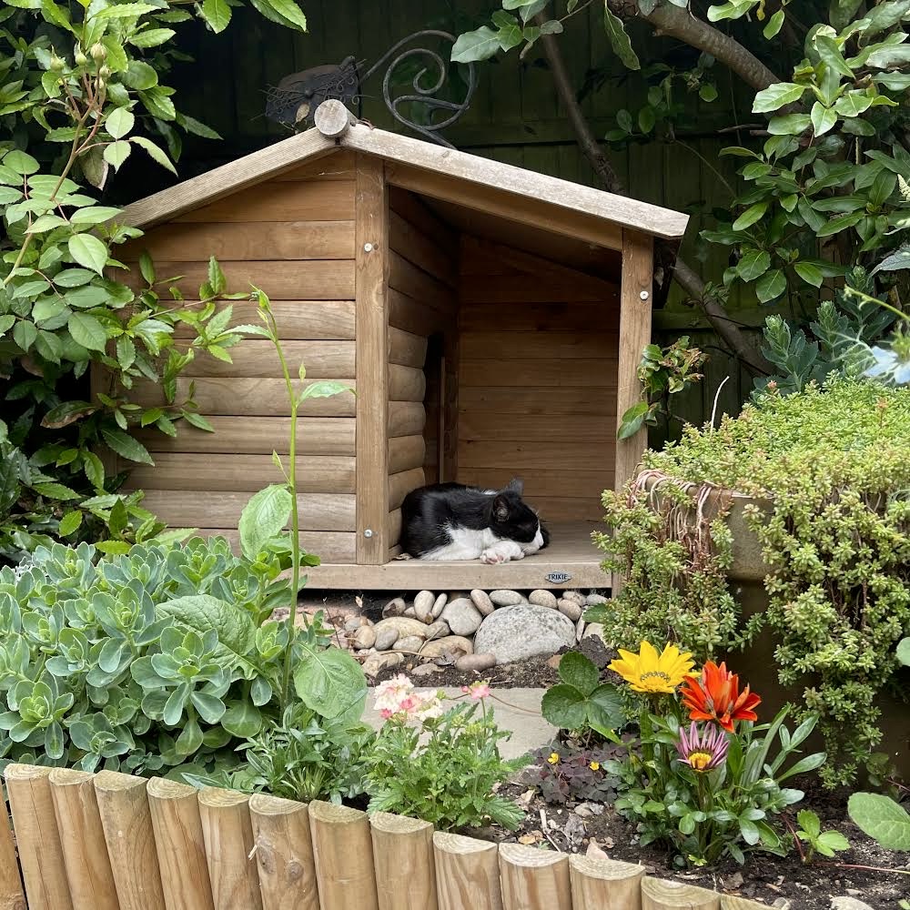 aqillauk's tweet photo. It’s Growing for Wellbeing Week and we’re getting stuck in!🪴
Check out these amazing snaps from our team. Why not get involved too and let us know what you’ve been growing!🧑🌾
@GYOWellbeingWk
#GYOforWellbeing #MentalHealth #CleverAccounting #Cloud #Saas #PostmodernERP https://t.co/KwFOZt3RuZ