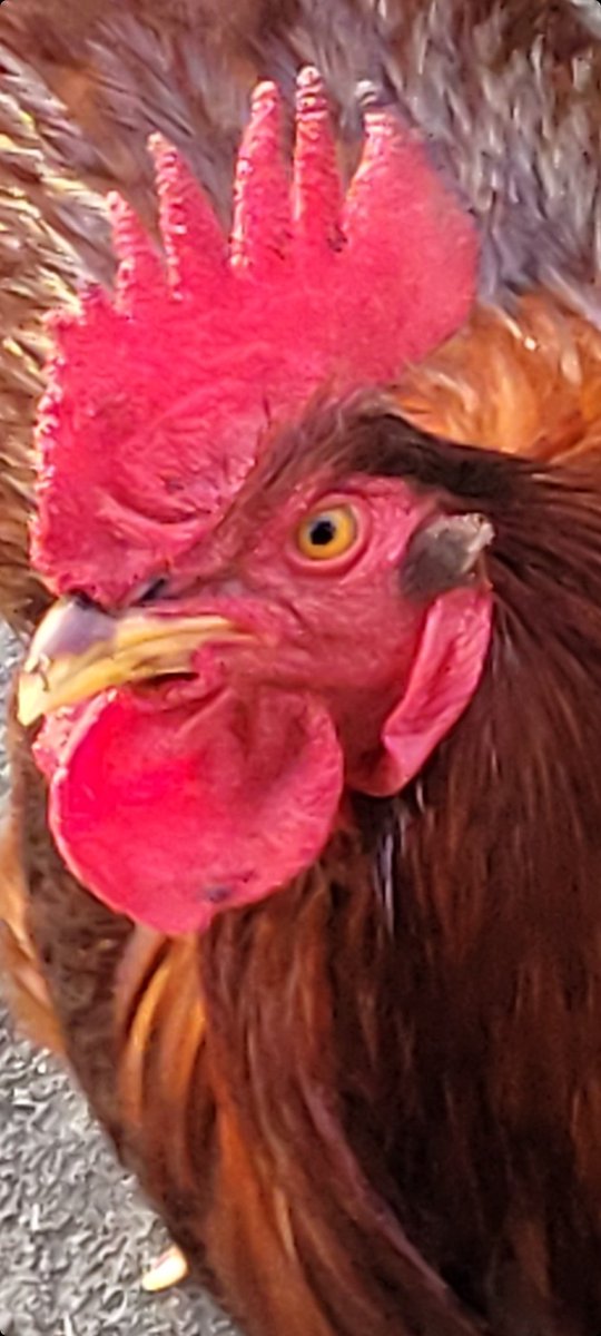 MAKPIA LEBAM #Research #TheSunMoves tweet media