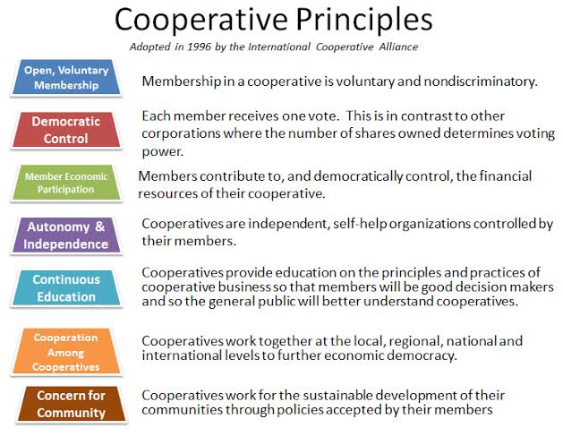 stimasacco's tweet photo. Cooperatives are formed to satisfy the needs of their members. They are voluntary, autonomous, self-help democratic organizations owned and controlled by their members. Membership in cooperatives is open and voluntary.#SaccoYanguMaishaYangu #5thADC https://t.co/SERVmP8DP9